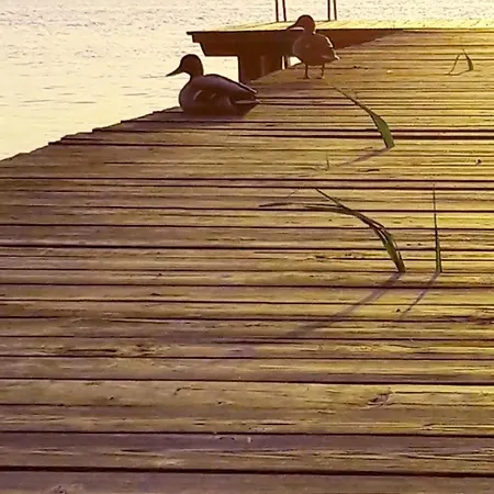 Lägenhet Am Malchiner Mit Boot Und Kanu Basedow (Mecklenburg-Vorpommern)