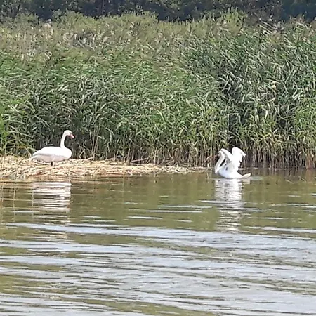 Am Malchiner Mit Boot Und Kanu Lägenhet Basedow (Mecklenburg-Vorpommern)