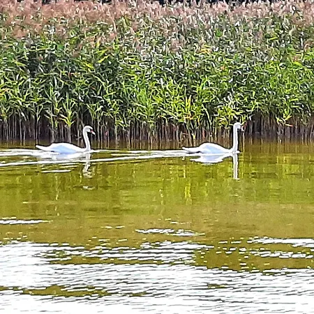 Am Malchiner Mit Boot Und Kanu Lägenhet Basedow (Mecklenburg-Vorpommern)