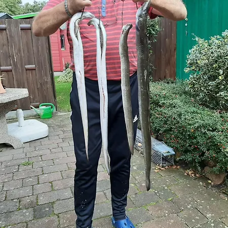 Am Malchiner Mit Boot Und Kanu * Basedow (Mecklenburg-Vorpommern)