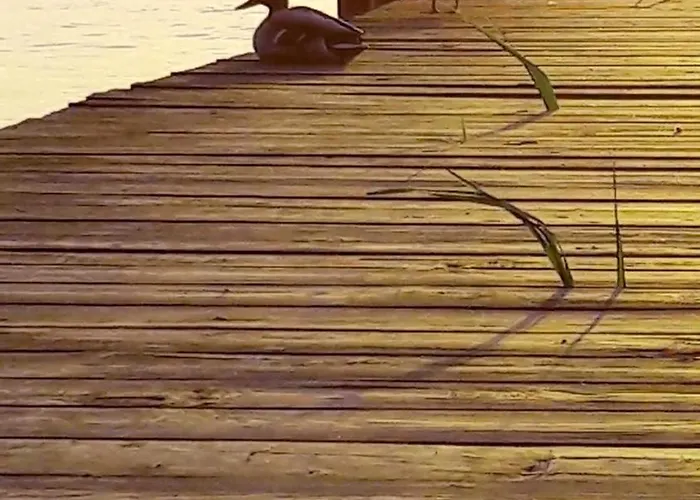 Lejlighed Am Malchiner Mit Boot Und Kanu Basedow (Mecklenburg-Vorpommern)