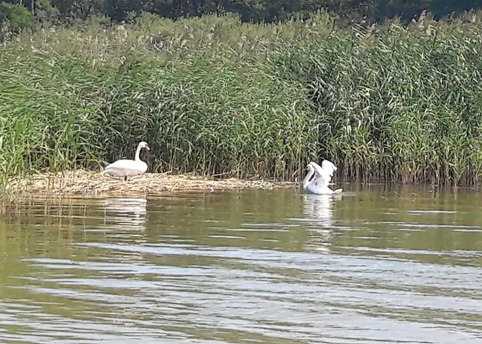 Am Malchiner Mit Boot Und Kanu Lejlighed Basedow (Mecklenburg-Vorpommern)