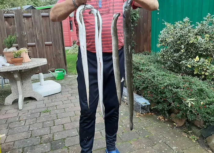 Am Malchiner Mit Boot Und Kanu * Basedow (Mecklenburg-Vorpommern)